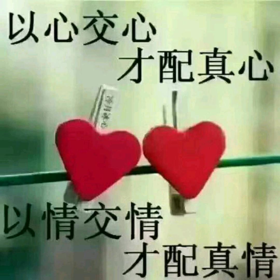 雨路阳光750