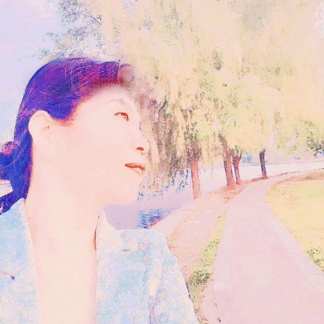 琴丝