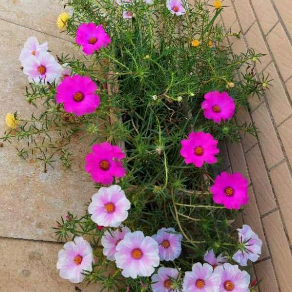 忘记过去，展望未来