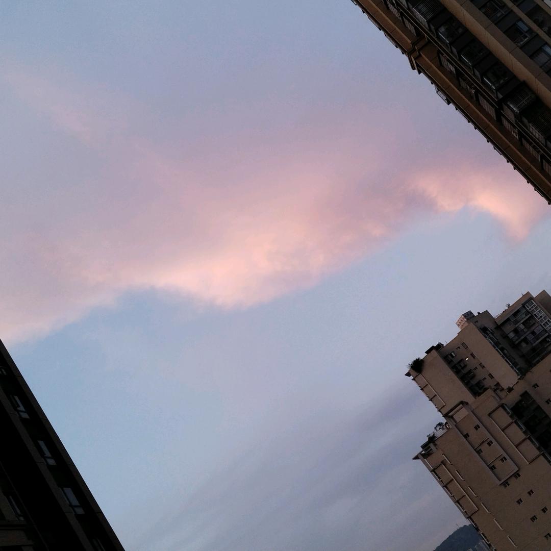 噬