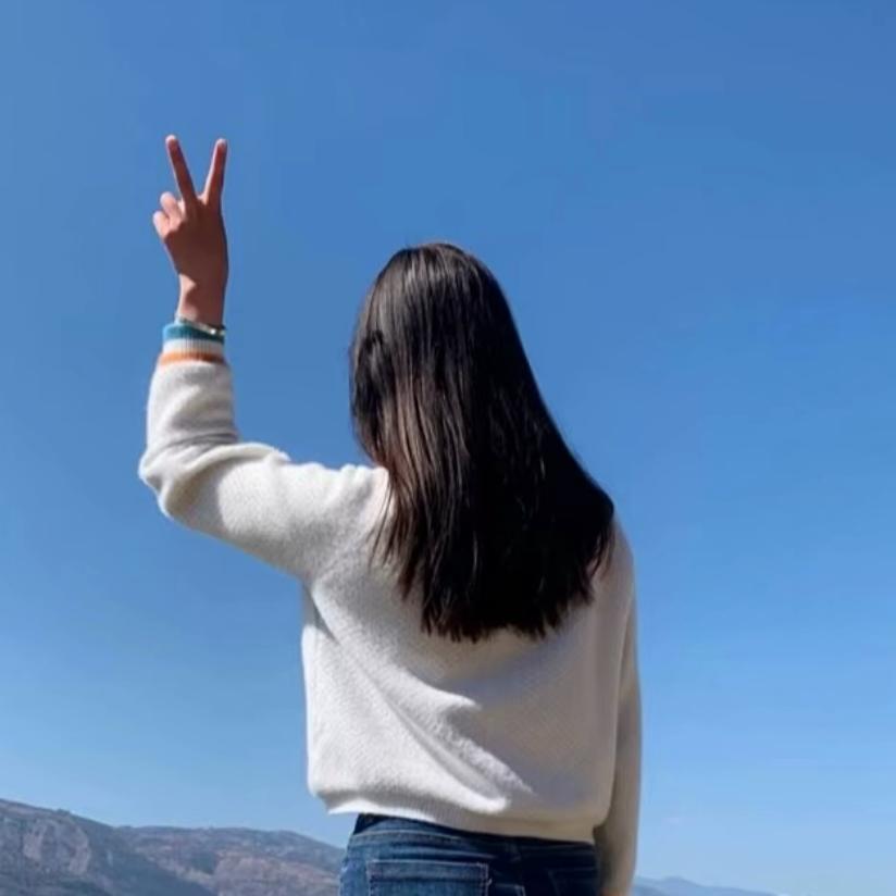 飞燕科技