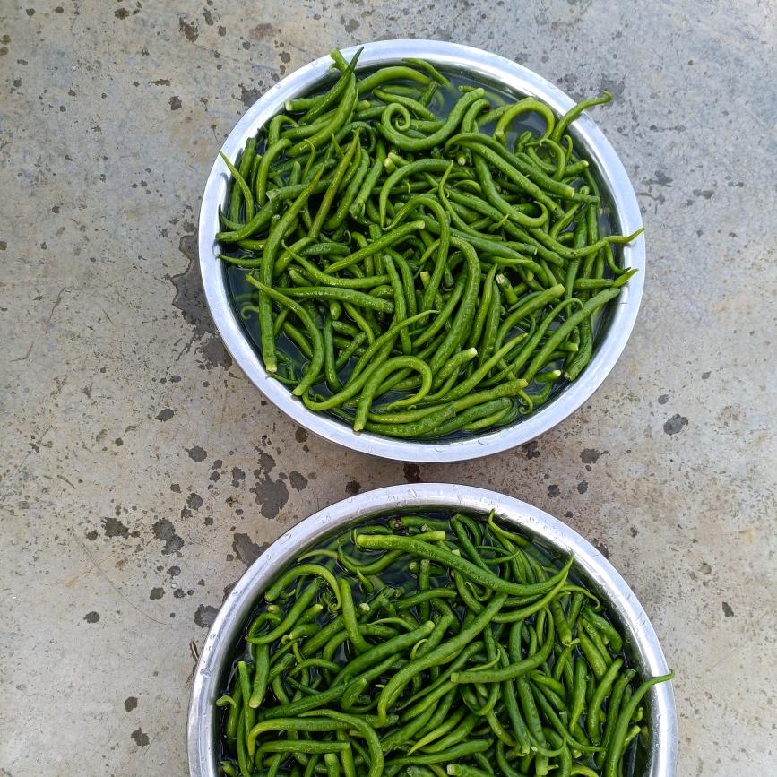 义龙新区鞋守鞋店