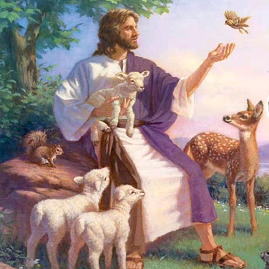 徽味馆寿州土莱