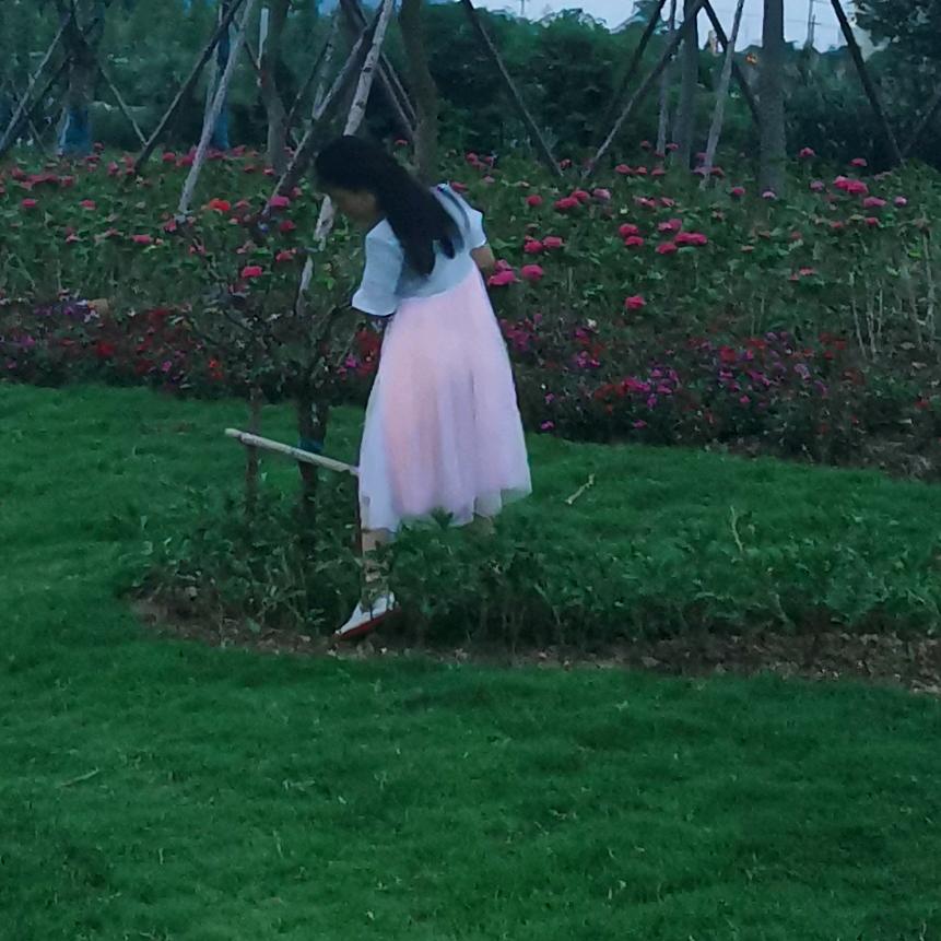 百合香水 （拒绝私聊）