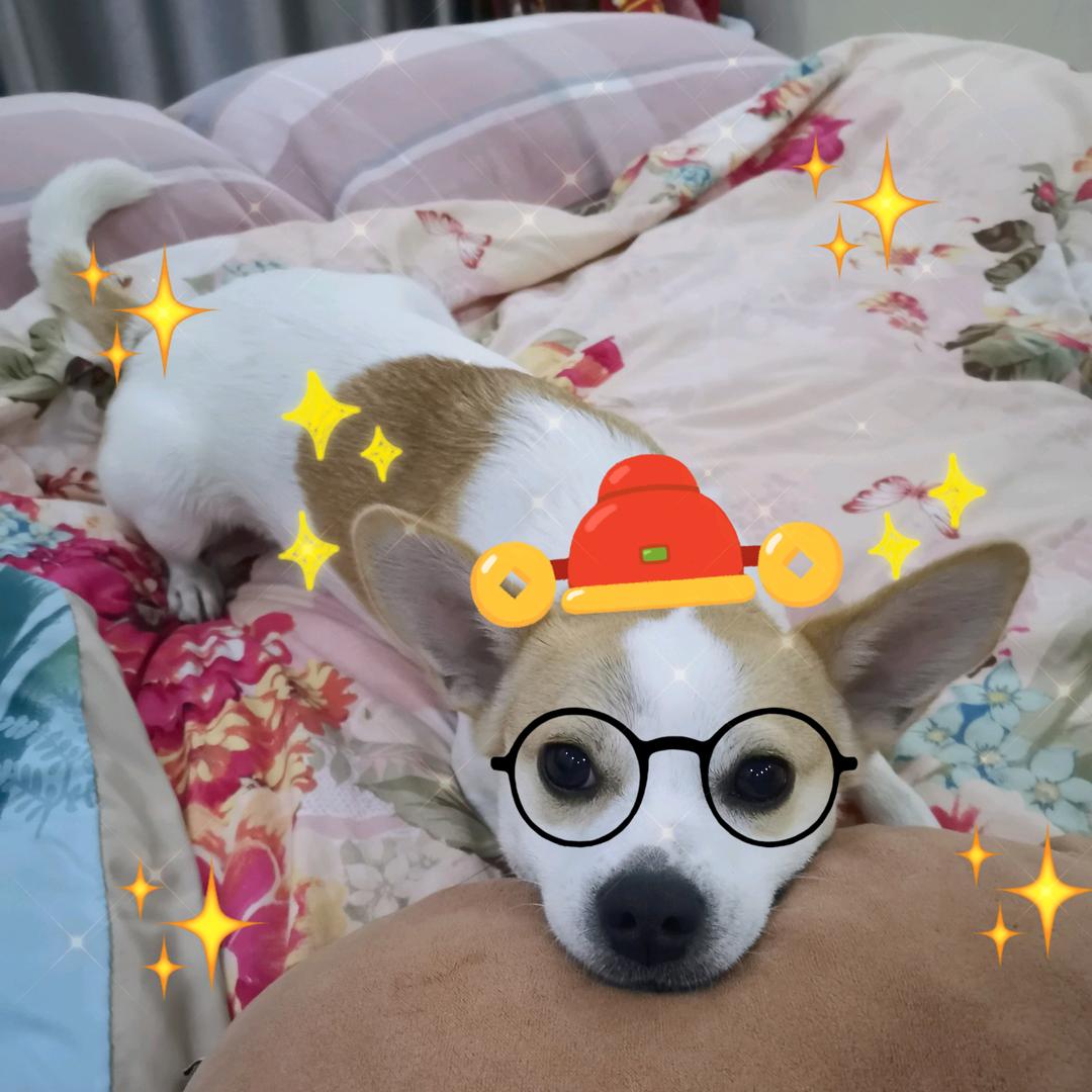 托管班的小田老师