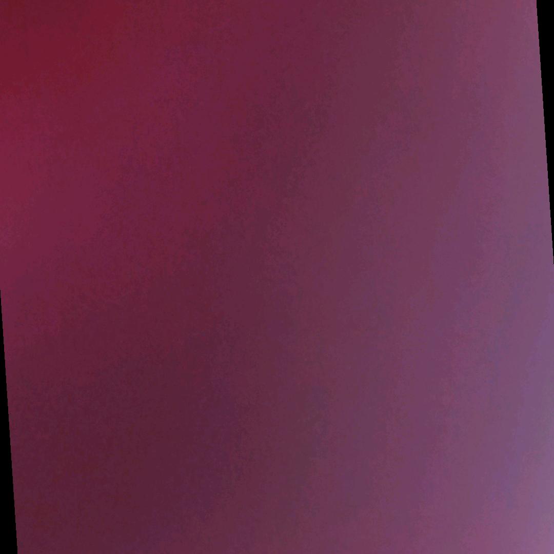 蛋%