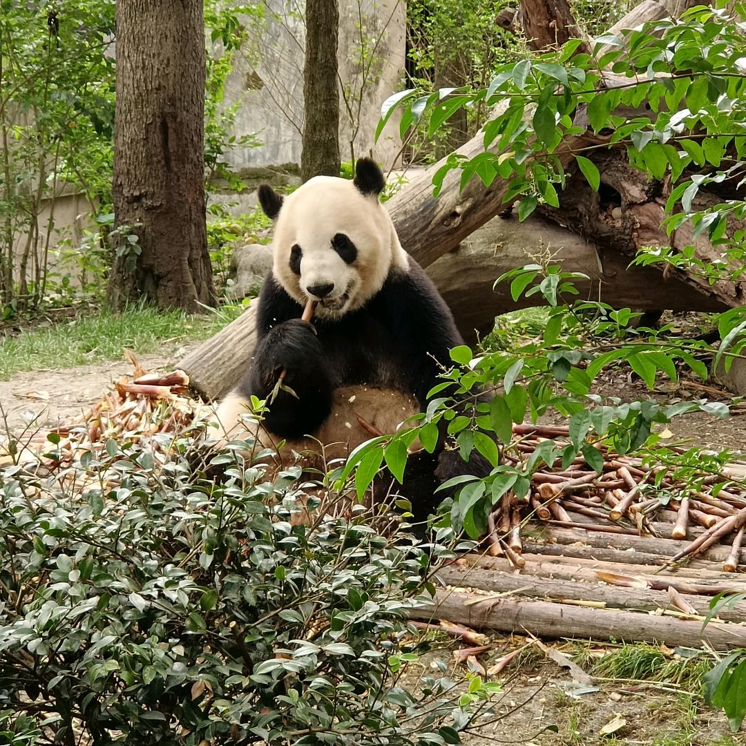 福州思乐途鞋业有限公司