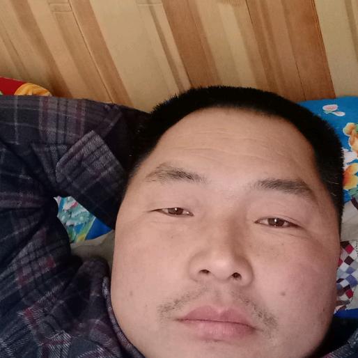 树涛
