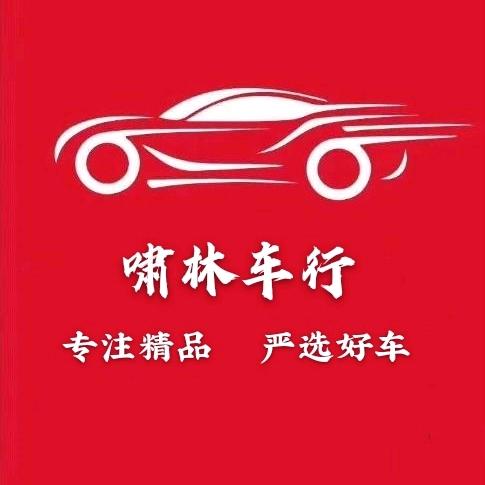 天津市啸林二手车