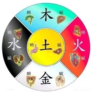 相约网络