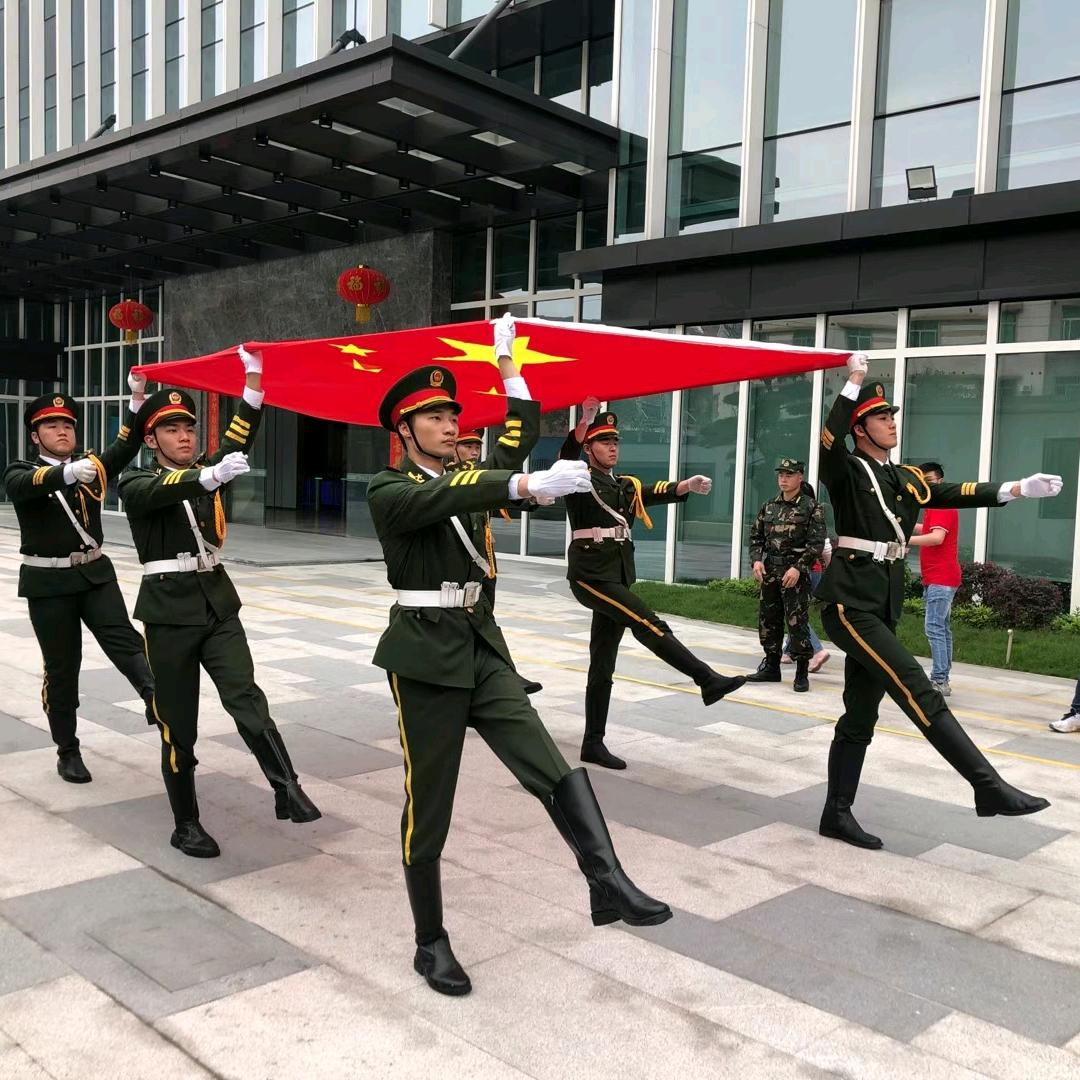 阳春大树