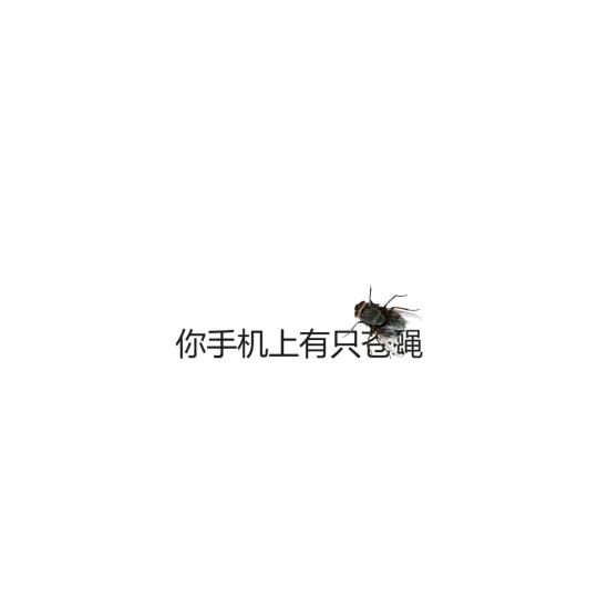 情深缘浅
