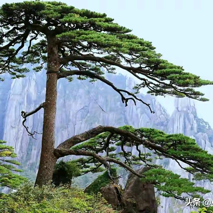 一生平安〈幸福〉