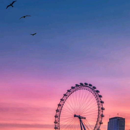 开心每一日