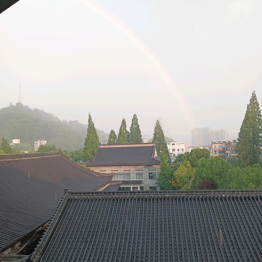 鼎 鼎