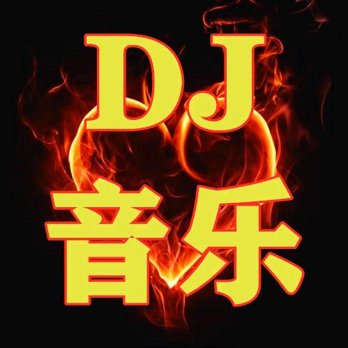 DJ音乐（车载u盘）