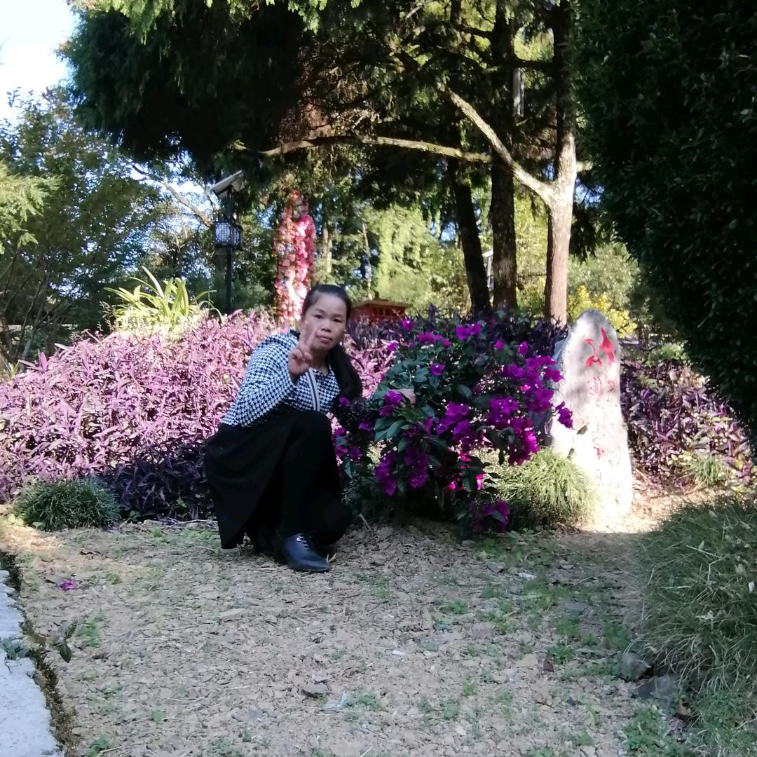 我太傻💐💐
