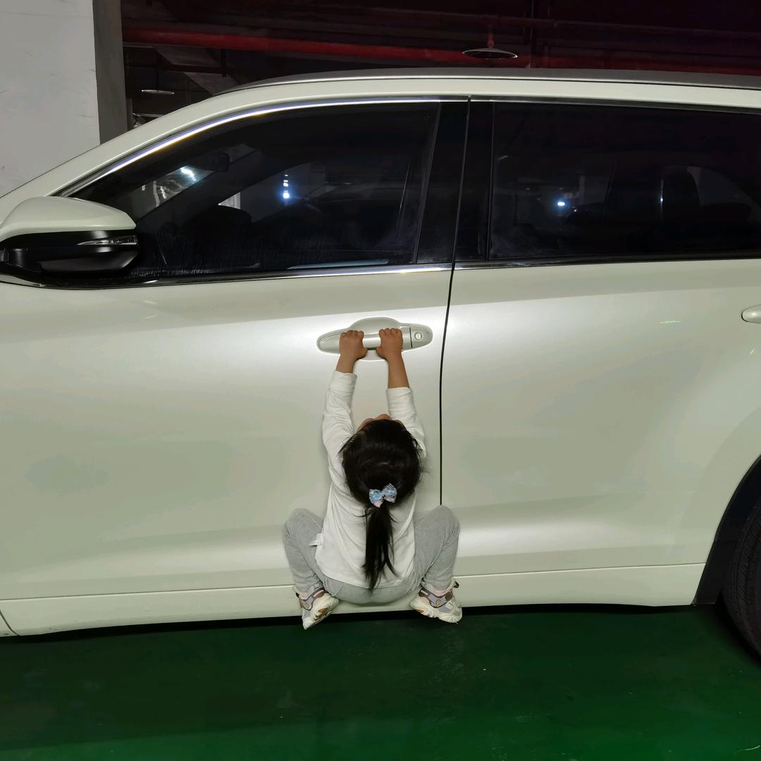 小狼猫