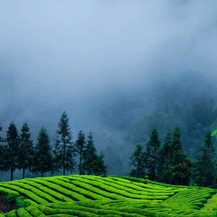 懒得起名