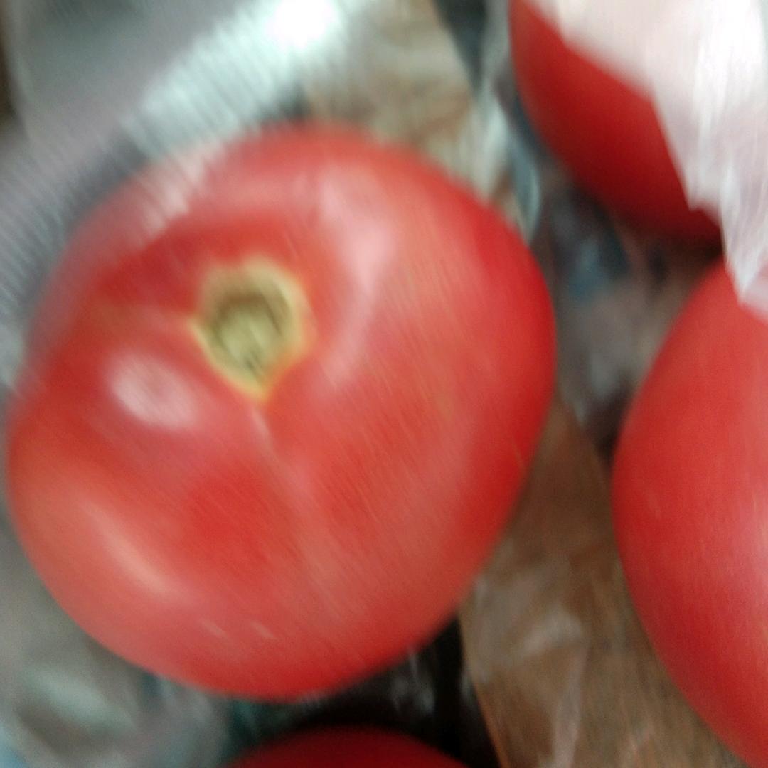 竹子的花粉