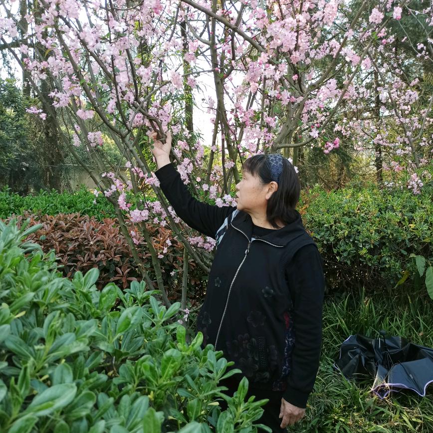 我是邬姨，没上过学