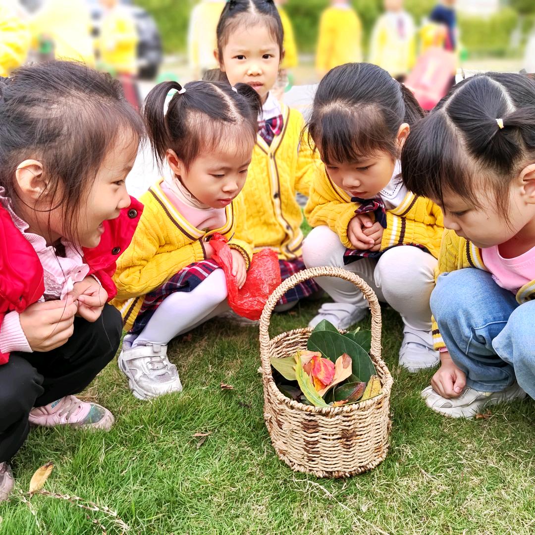 @乐百氏幼儿园🏰