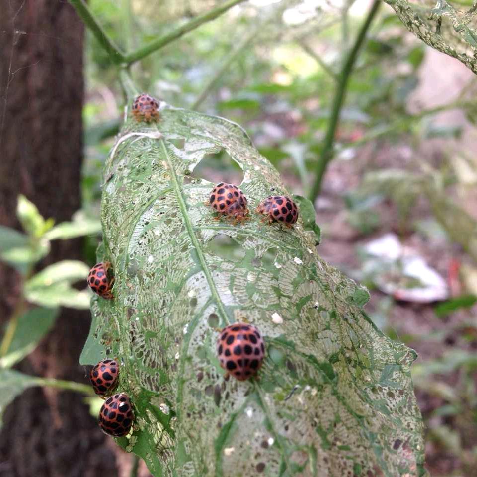 飞天影视