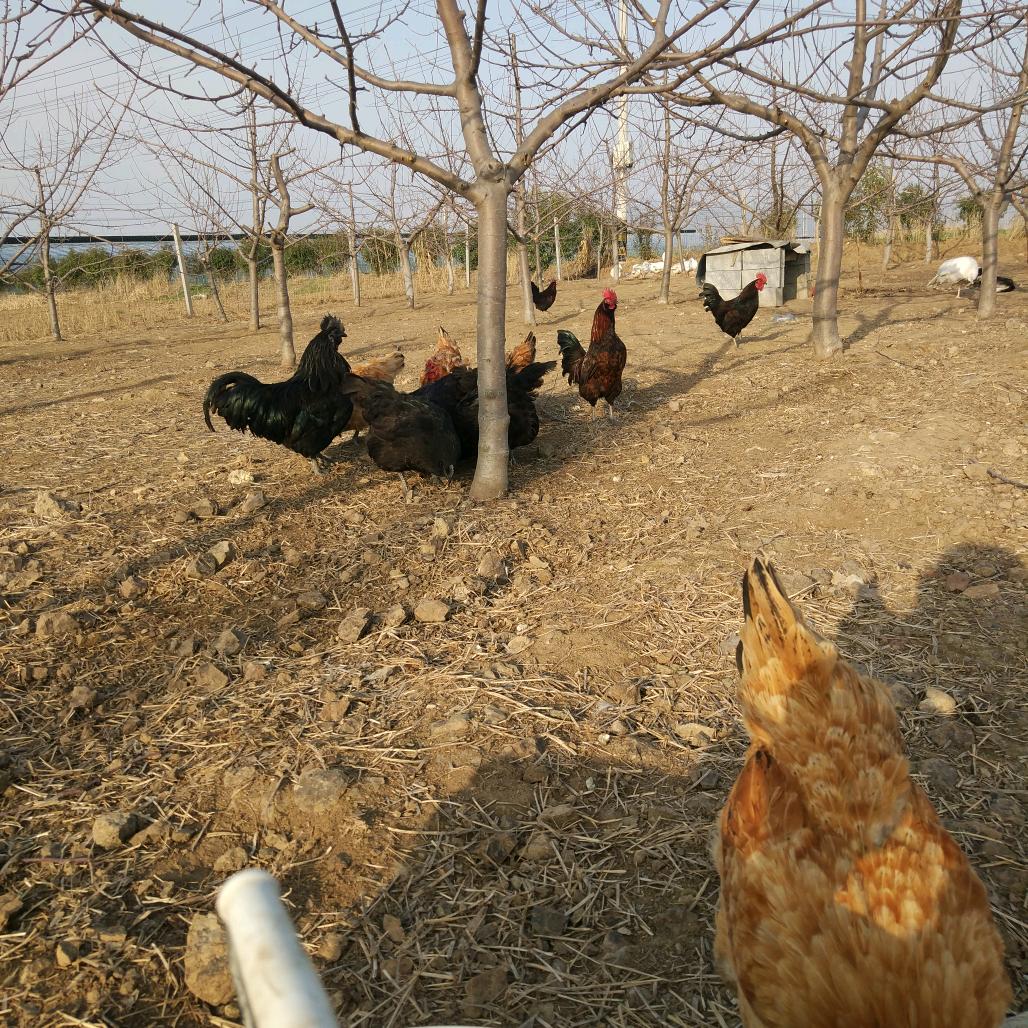 创意生活小铺ZLm