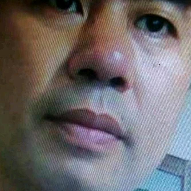 心泊诗梢