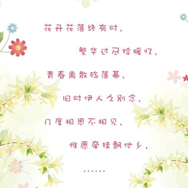 豆芽888888