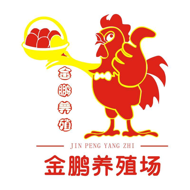 金堂 一蛋成名