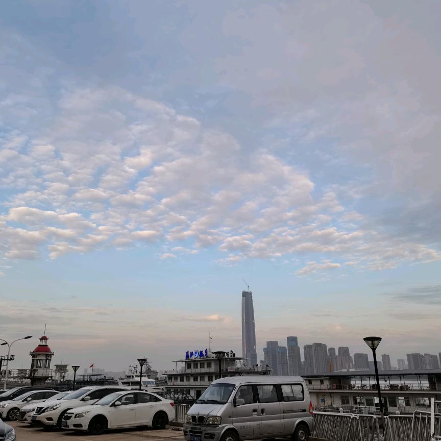 鸿雁南去情难寄