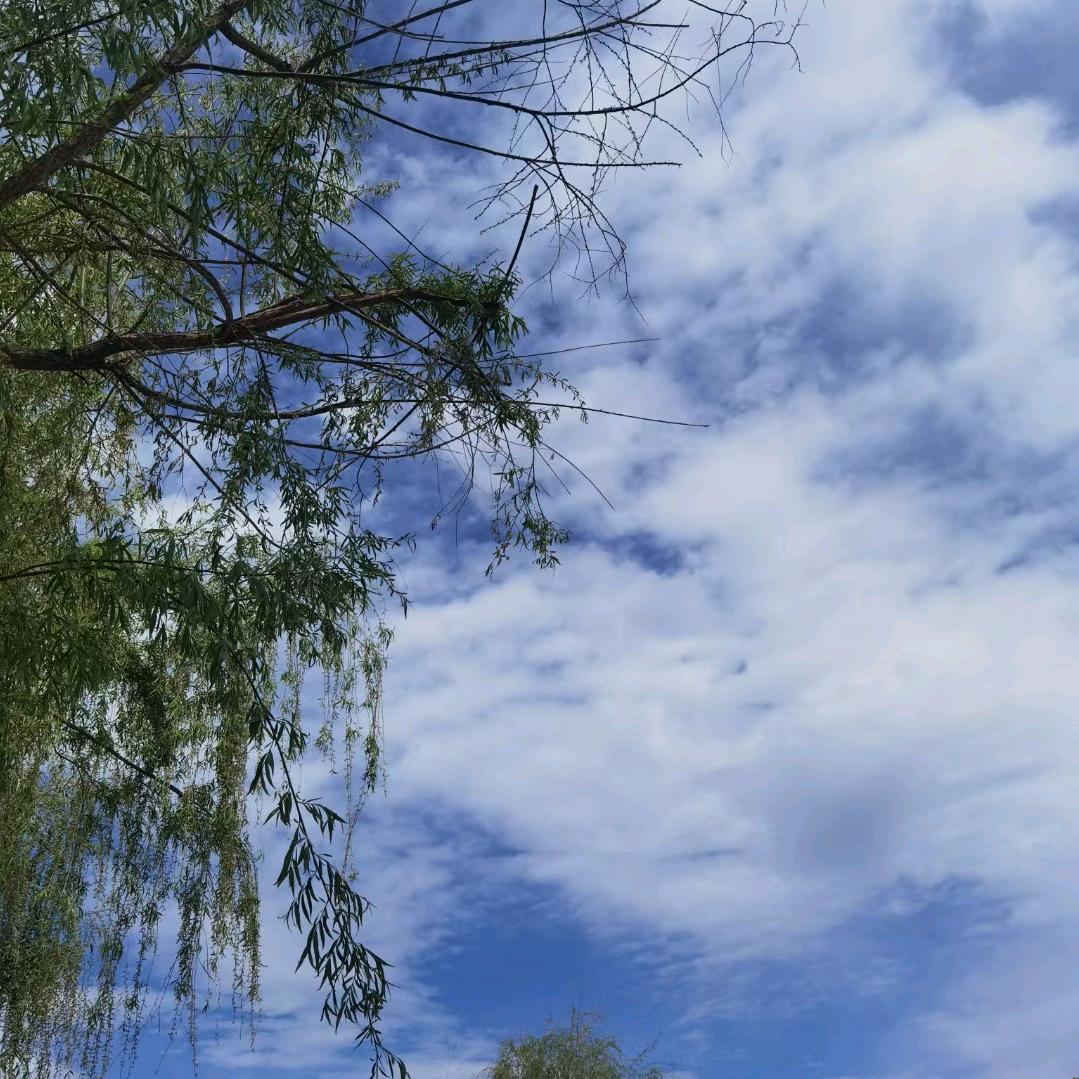 往事清零，爱恨随意