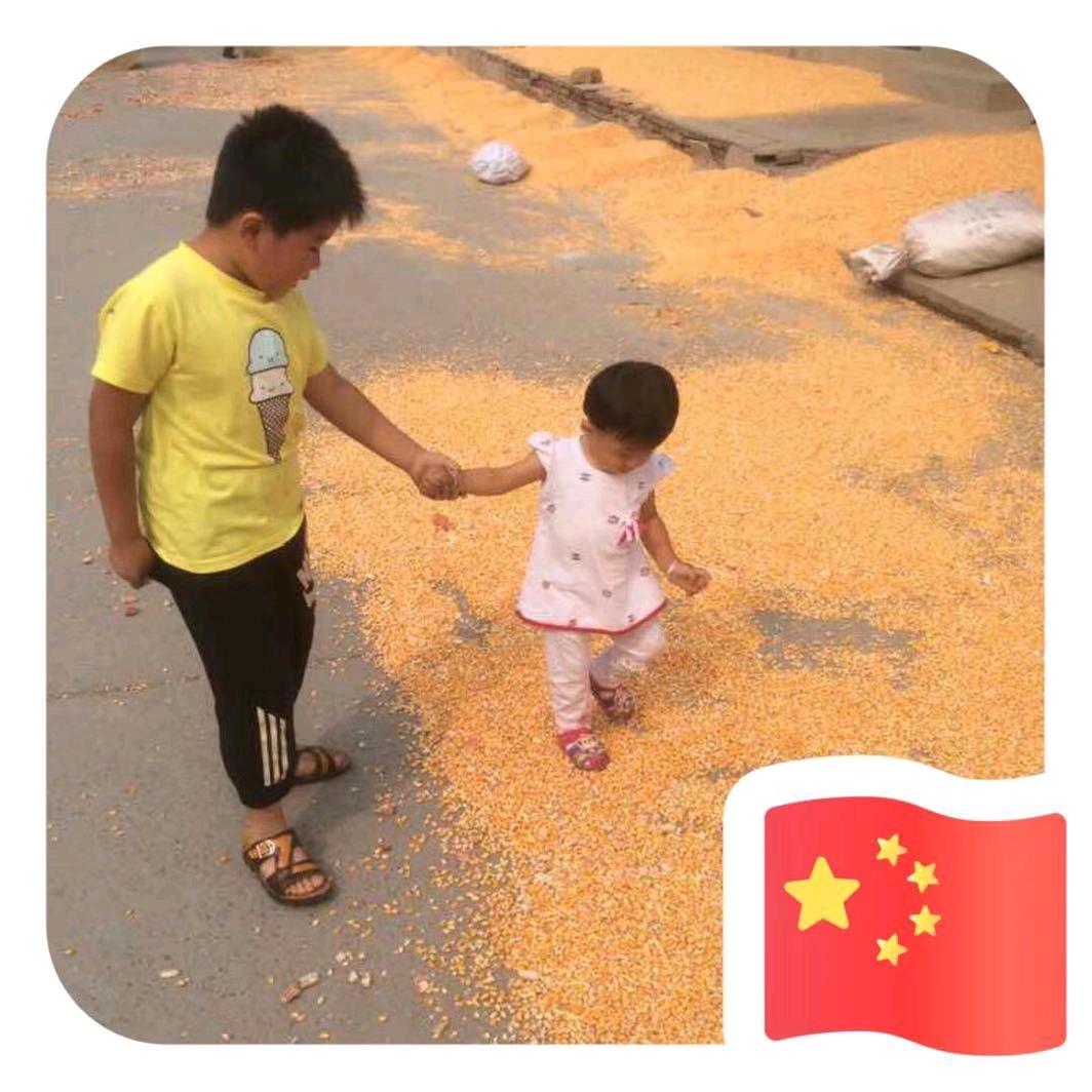 家有儿女