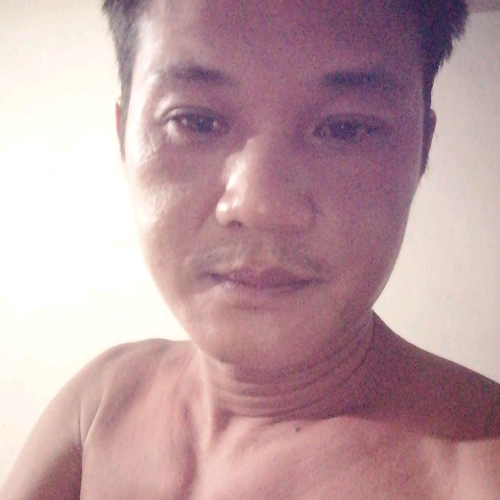 玩蜂的人