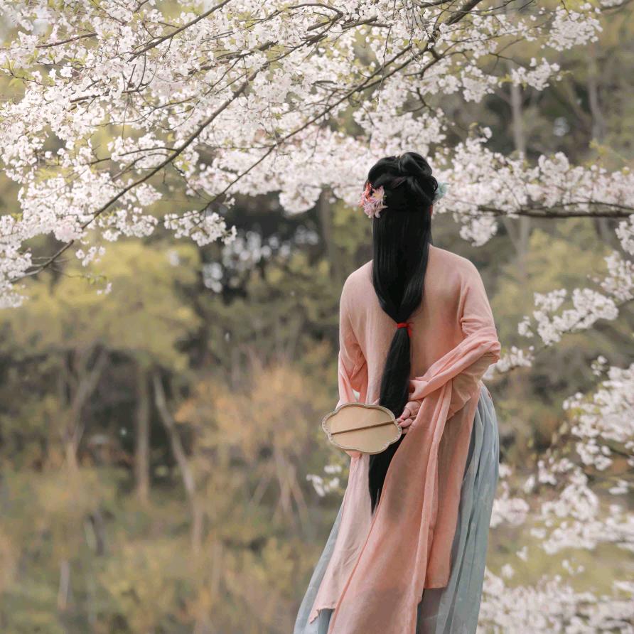 云想映画