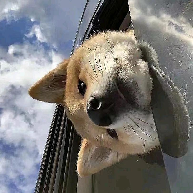 ㅤ