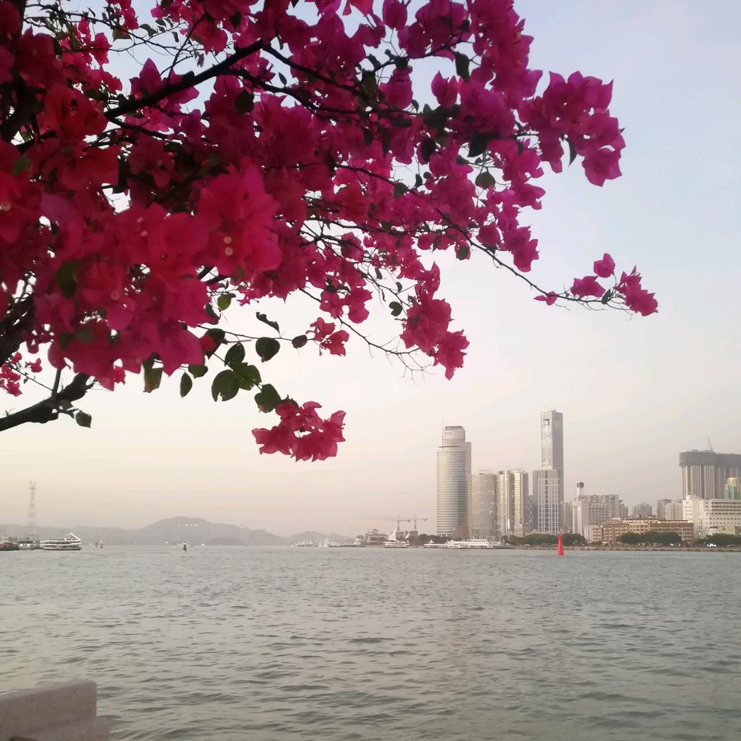 亿航驾校