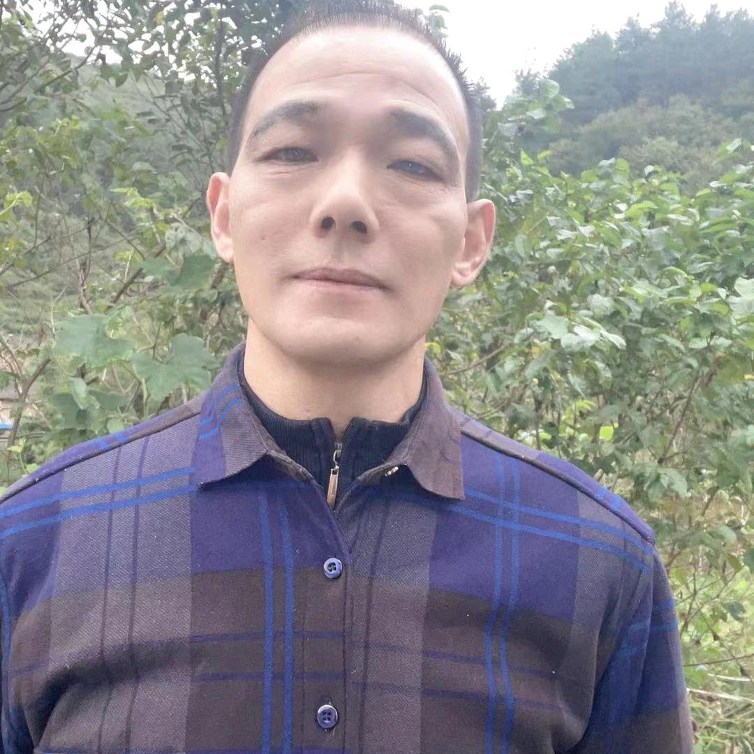 步步高升