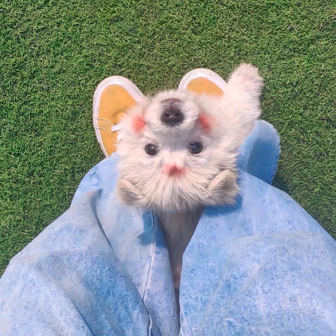 笑对人生【^^】