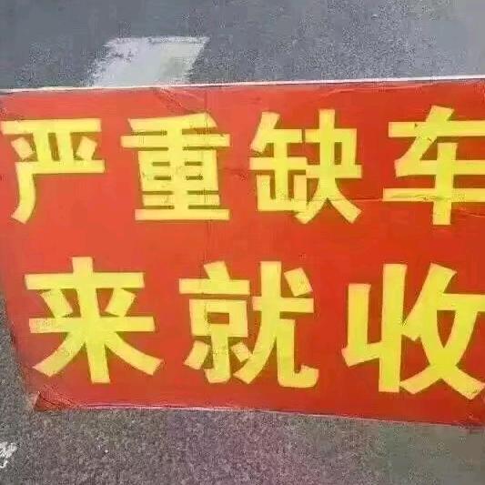 二手车搬运工~