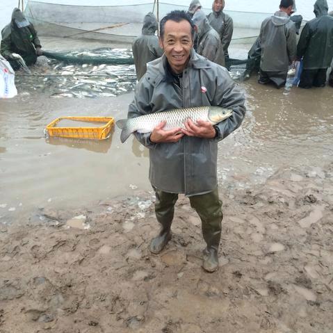 中桂水产养殖场