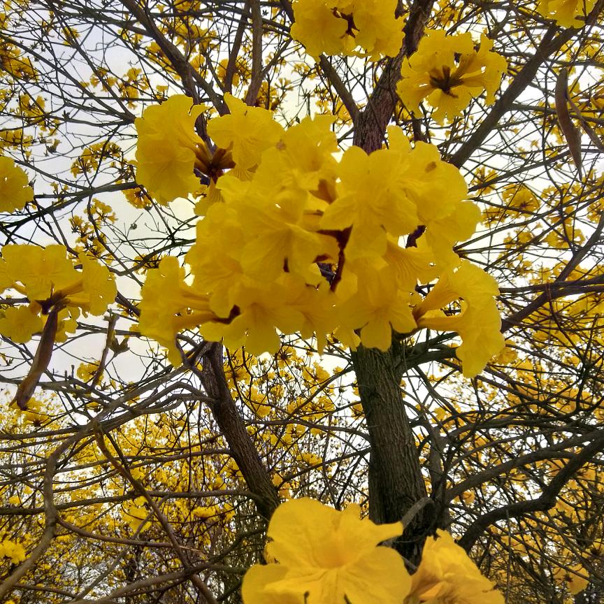 阳光