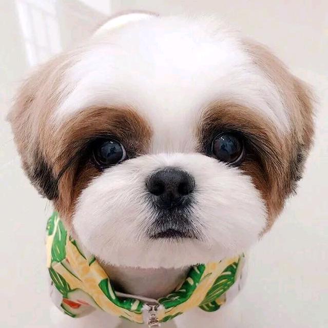 暖风昔人