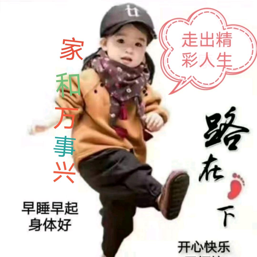 人生无悔