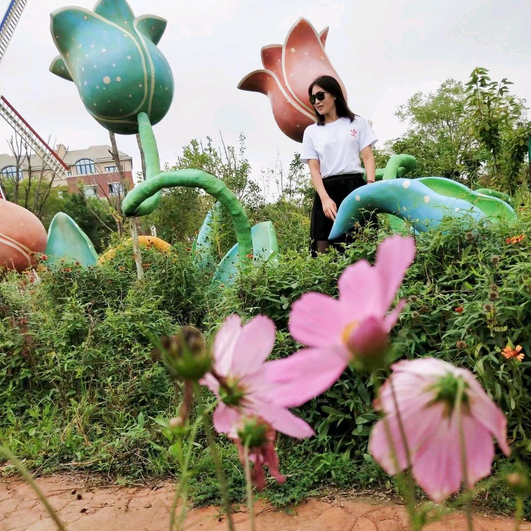烟花易冷