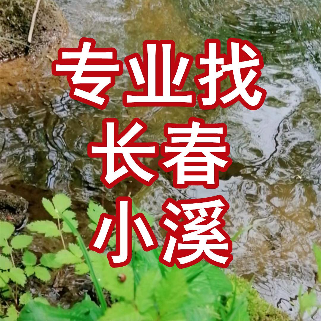 专业找长春小溪露营野餐地