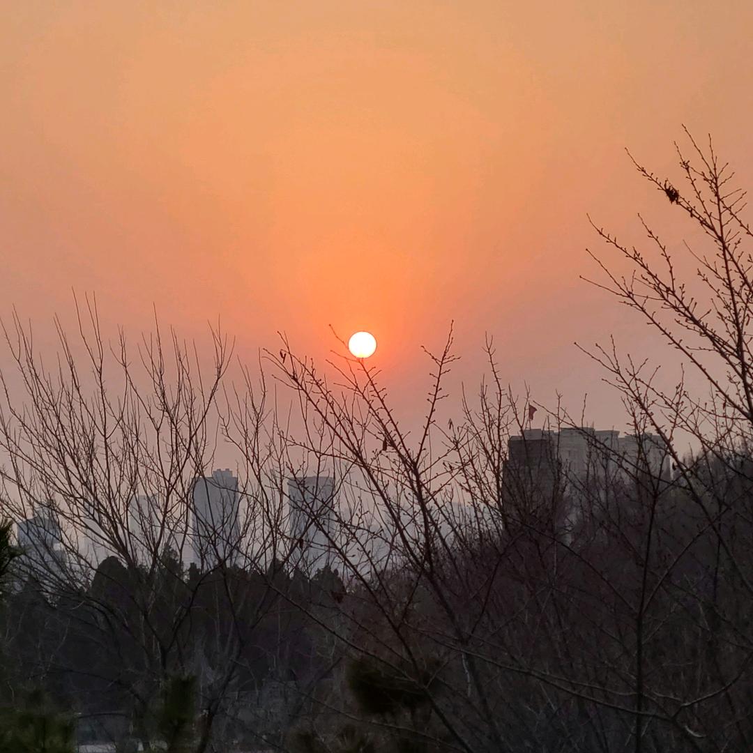 逸兴.
