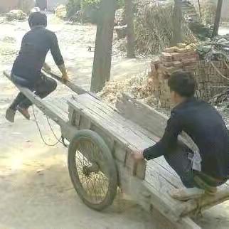 追梦的少年追了风