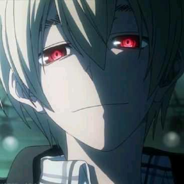 澳大利亚的袋鼠